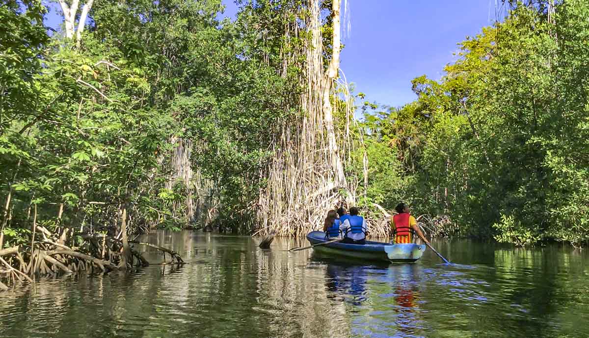 Humedales en México.