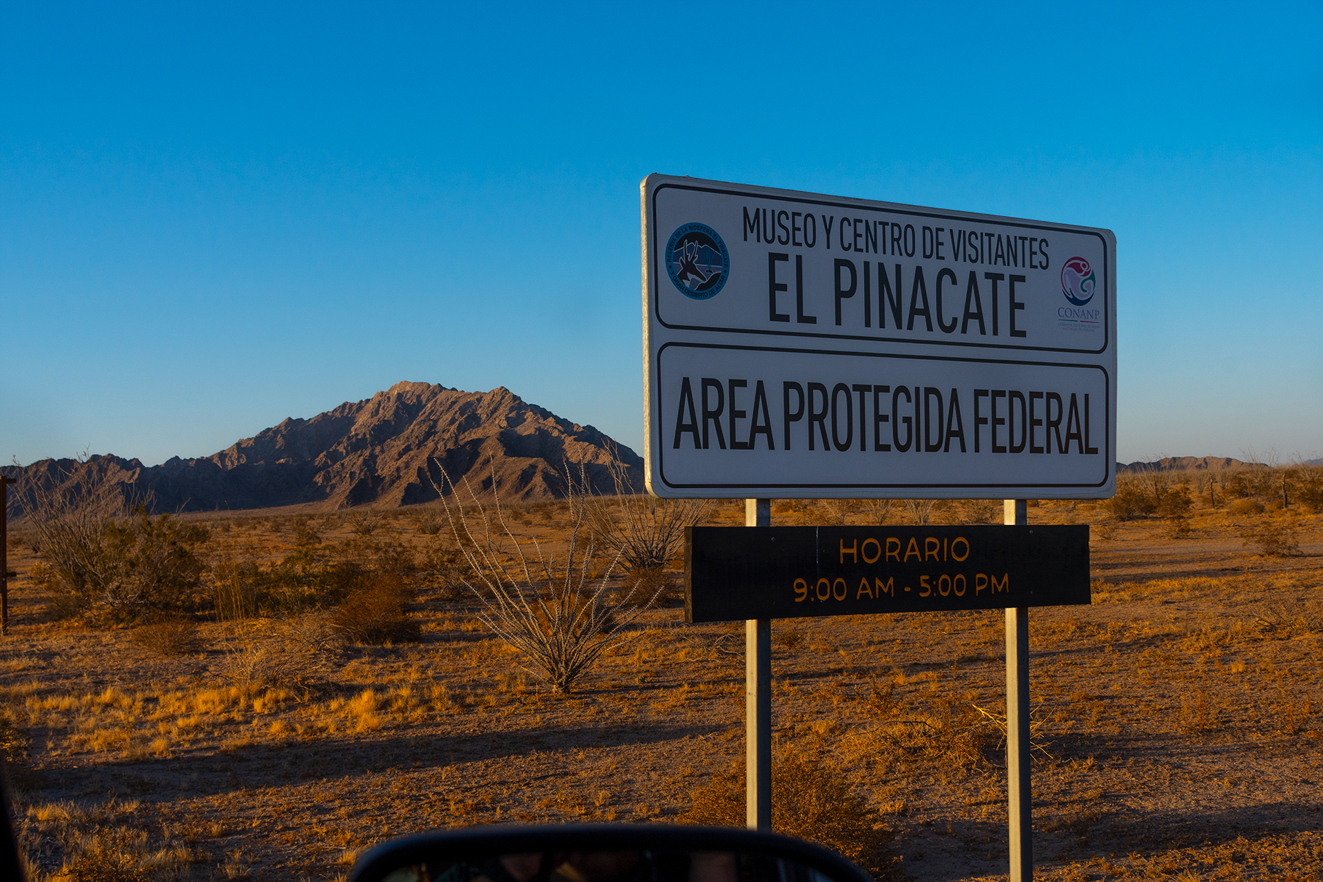 Curso de Excursionismo en la Reserva de la Biosfera El Pinacate con Aventura Vertical.